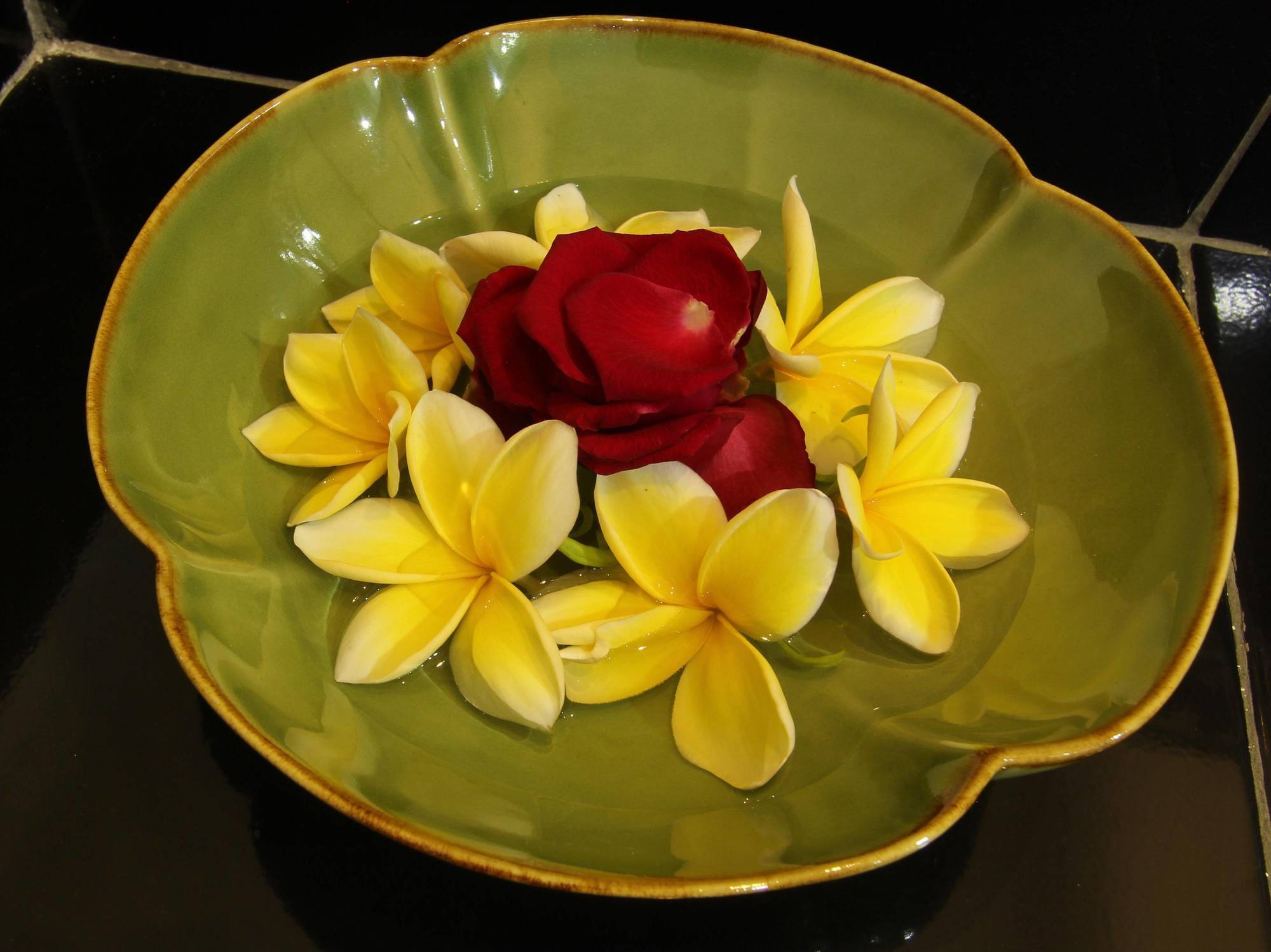 Frangipani Homestay Nusa Dua  Zewnętrze zdjęcie