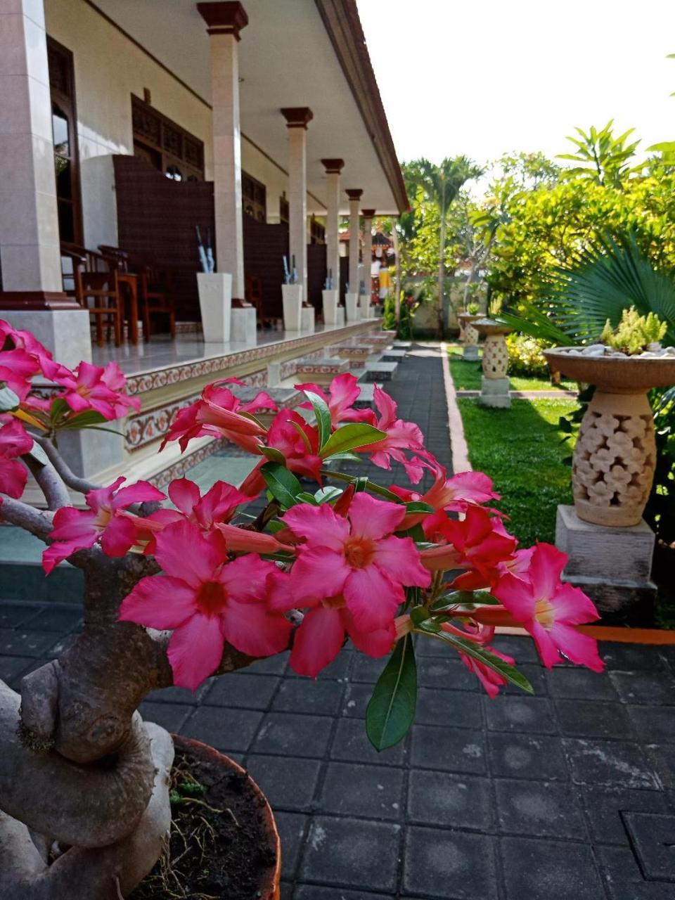 Frangipani Homestay Nusa Dua  Zewnętrze zdjęcie